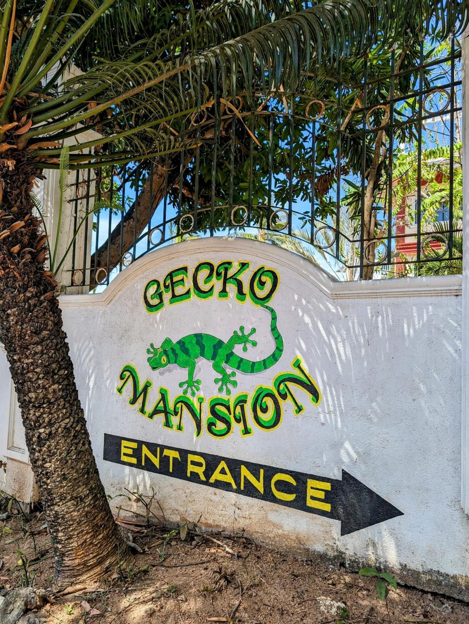Screaming Gecko Hostel Busuanga Exterior photo