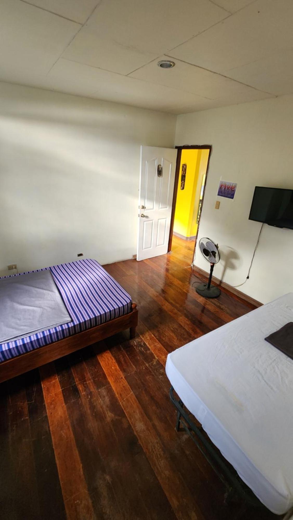 Screaming Gecko Hostel Busuanga Exterior photo